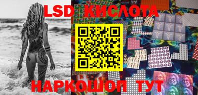 стафф Камышлов