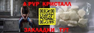 стафф Камышлов