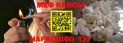 стафф Камышлов